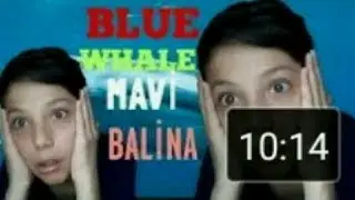 130 KİŞİYİ ÖLDÜREN OYUNUN GÖREVLERİ (MAVİ BALİNA)