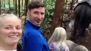 Масла йога тур. Катание на слонах