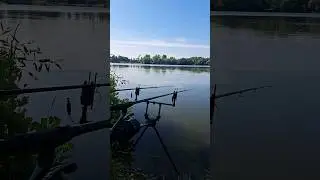 #fishing #рибалка #carpfishing #carp