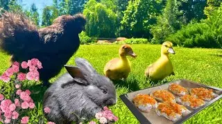 FAMILY LIFE IN A BELARUSIAN VILLAGE WITH ANIMALS IS RELAXATION. WE CAME FOR THE SUMMER AND STAYED...