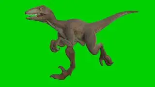 Dinosaur Green Screen│Motion Graphic Transitions│Green Screen│OBS