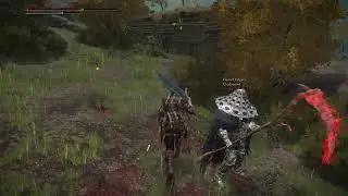 Elden Ring: Seamless coop pt.5