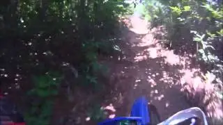 ...go Alex go...