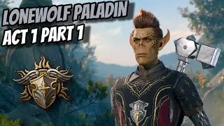 Lonewolf Vengeance Paladin Playthrough Act 1 Part 1 (Honour Ruleset)  - Baldur's Gate 3