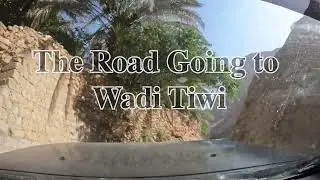 Journey to Tiwi Wadi Oman | An Oasis Adventure!