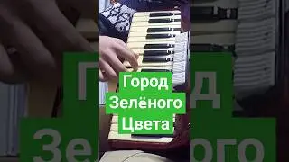 Город зелëного цвета кавер на аккордеоне ( Виктор Павлик, dj Stranger)