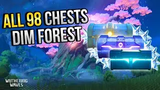 ALL Chest Locations In Dim Forest | In Depth Follow-Along |【Wuthering Waves】