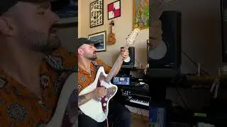Squier Paranormal Jazzmaster XII AMAZING ! #guitar #viral #guitarist #fender #guitarsolo #love
