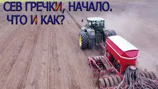 How we started sowing buckwheat! A little about sowing buckwheat.