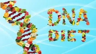 DNA-based diet | Genetic based diet
