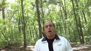 The Rapture misunderstandings !