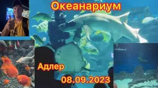 Океанариум Адлер 2023