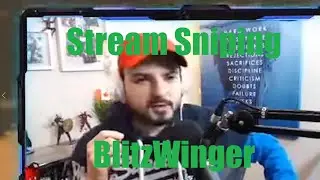 *ACCIDENTALLY* STREAM SNIPING BLITZWINGER//MEME EDIT//FORTNITE BATTLE ROYALE