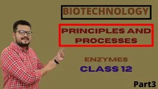 BIOTECHNOLOGY PRINCIPLES AND PROCESSES- Enzymes Class 12 Biology Part3