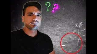 Mais quel est cet animal ?