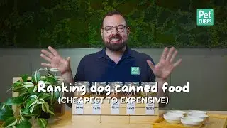 Ranking Dog Canned Food | What's really in your dog's food?