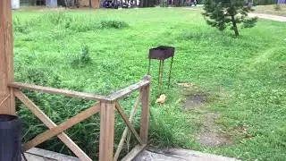 Богданово. Космос. Терраса