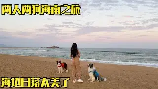 带着狗狗三月自驾海南，参加行摄颁奖典礼，到海边玩水看夕阳