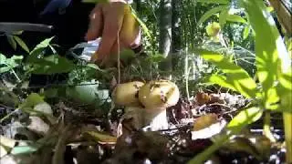 Эксклюзивная охота, собираю валуи