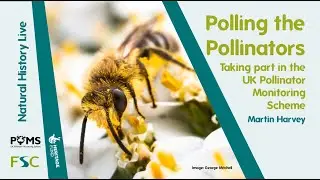 Polling the Pollinators: Taking part in the UK Pollinator Monitoring Scheme