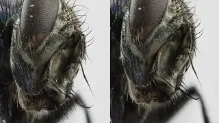 VR   Anaglyph   Stereo 3D FLY   4k