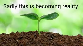 Save soil – the very source of life by Elham