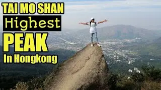 EXPLORING TAI MO SHAN COUNTRY PARK || puncak tertinggi di Hongkong
