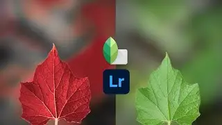 EDITING TUTORIAL USING LIGHTROOM 🔥