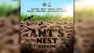 Mr. Bruckshut - "Ant's Nest Riddim (2023) Mix" (Johnny Wonder)