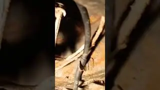 Неожиданно сгнила тачка 