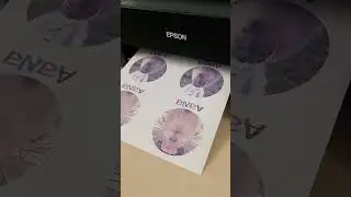 Парные кружки капибара 🥰 