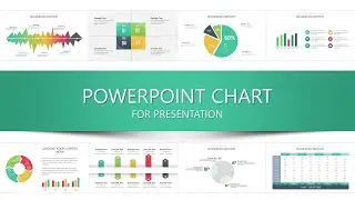Statement of Financial Position PowerPoint chart