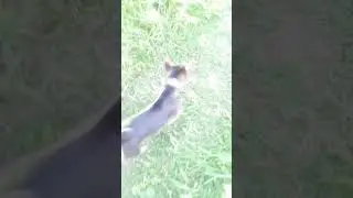 Простите за долгое отсутствие 🥺❤️