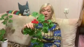 Обещала показать. Показываю.