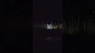 Как Нас Окружили Шакалы на рыбалке