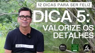 DICA 5: Valorize as pequenas coisas - Curso bíblico 12 dicas para ser feliz