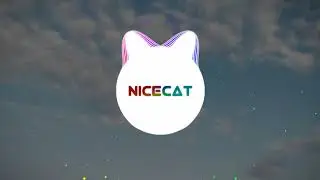 NiceCat — Dark