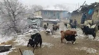 Documentary about nomadic life