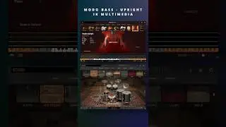 MODO Bass Upright | Demo