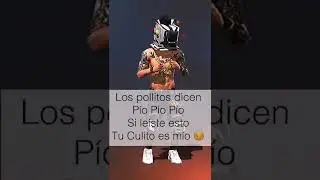 Los pollitos dicen pio pio pio...