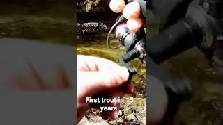 First trout in 15 years!!! #fishing #fishingequipment #outdoors #troutfishing #fish #like #trending
