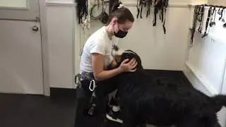 TPSC Daycare PP Henry - Secret