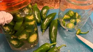 Pickled Jalapeños - Lacto Fermented Jalapeño Peppers quick tutorial