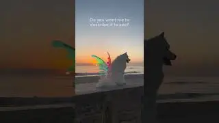 Sora using input: "combine the most beautiful things in one video"