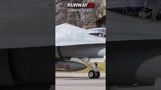 SWISS HORNET MEIRINGEN - your DAILY DOSE of 