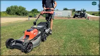FIRST MOW On New Grass In JUST 7 DAYS! + Scalp Updates and More