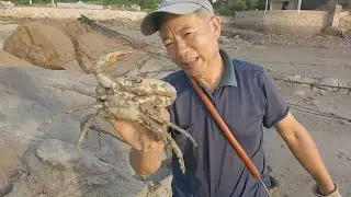 搬开石块看躲啥好货，抓到几只肥硕的螃蟹，还发现迷你的小青龙虾