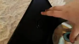 Обзор на DVD-диск всё про кота Леопольда, троих из простоквашино и их друзей...