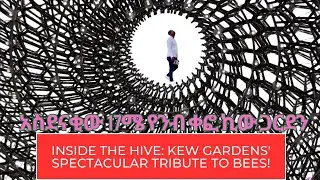 አስደናቂው 17ሜ የንብ ቀፎ ኪው ጋርደን /Inside The Hive: Kew Gardens' Spectacular Tribute to Bees!🐝🐝🐝P2
