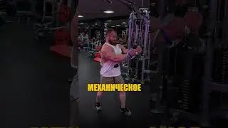 Что лучше для грудных: штанга или гантели?
